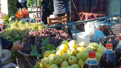 برگزاری جشنواره انگور در روستای کندوله شهرستان صحنه