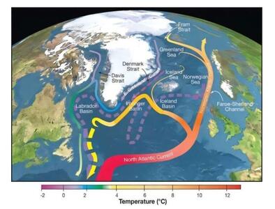 کُند شدن چرخش آب اقیانوسی، موجب تعدیل دمای قطب شمال می‌شود
