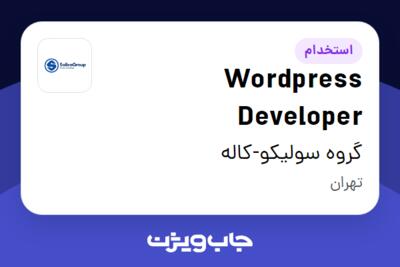 استخدام Wordpress Developer در گروه سولیکو-کاله