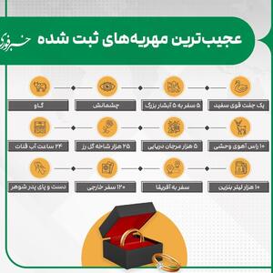 اینفوگرافی/عجیب‌ترین مهریه‌هایی که در ایران ثبت شده | اقتصاد24