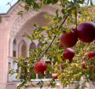 از خانه عامری ها در کاشان تا برداشت  نگین قرمز خراسان جنوبی