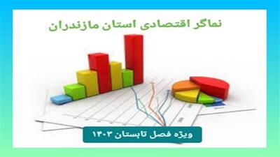 انتشار نماگر اقتصادی ویژه فصل تابستان ۱۴۰۳