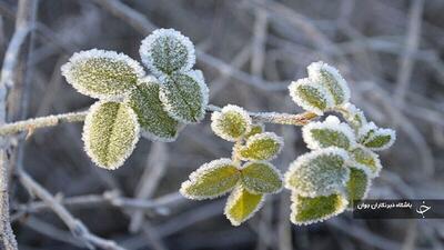 سوز سرمای پاییزی در آذربایجان‌غربی بیشتر شد