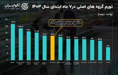 در 7 ماه ابتدایی 1403 سبد مصرف خانوار چقدر گران شده است؟