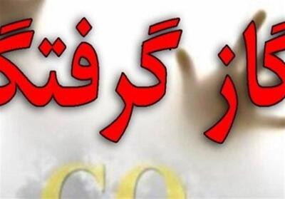 فوت دختر 3 ساله در کرمانشاه به علت گازگرفتگی - تسنیم