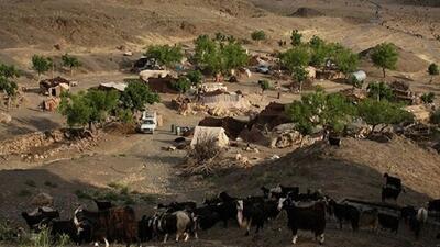 ورود دام به مراتع شاهرود از ۱۵ آبان ممنوع است