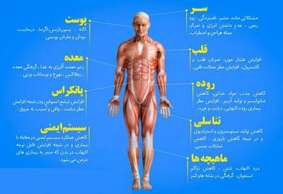 اینفوگرافی/ استرس اینگونه بدن را نابود می‌کند! | اقتصاد24