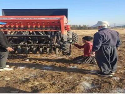 پروژه‌ نوآورانه با تمرکز بر کشت ۱۱ نوع محصول در سقز به اجرا درآمد