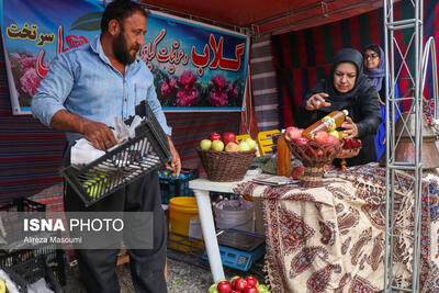 جشنواره سیب «سرتخت» برگزار می‌شود