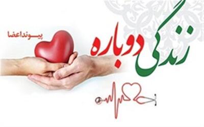 اهدای عضو کودک یکساله مینودشتی به دو بیمار، جان دوباره بخشید