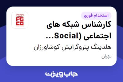 استخدام کارشناس شبکه های اجتماعی (Social Media) در هلدینگ پتروگرایش کوشاورزان