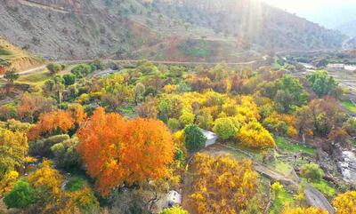 بهشت گمشده شیراز (تنگ بُستانک)؛ جایی که طبیعت هنرنمایی می‌کند