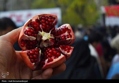 مازندران| جشنواره‌ای با طعم انار اشرف- فیلم فیلم استان تسنیم | Tasnim