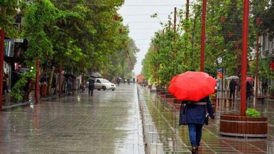 هواشناسی ایران|بارش باران در ۷ استان