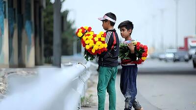 کودکان گل فروش ساماندهی می شوند