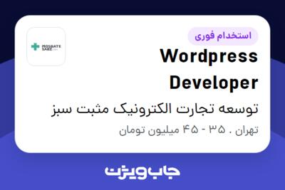 استخدام Wordpress Developer در توسعه تجارت الکترونیک مثبت سبز