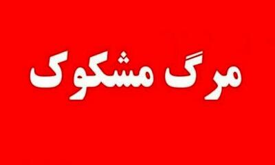 مرگ مشکوک زوج سالمند در استخر خانه؛ حادثه دلخراش یا جنایت هولناک؟!