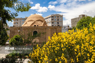 نگهداری کامل میراث فرهنگی توسط یک دستگاه عملی نیست