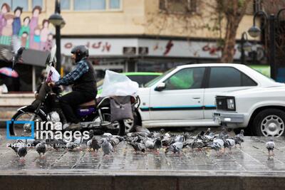 آماده‌باش شهرداری تهران در پی هشدار هواشناسی