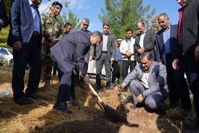 کاشت نهال در بام لرستان توسط استاندار به یاد مرحوم «عبدالهی» جوان حافظ طبیعت