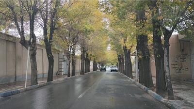 بارش باران پاییزی در میمه