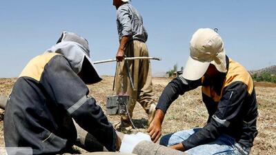 نشت یابی افزون‌ بر ۶ هزار کیلومتر شبکه گاز در کرمانشاه