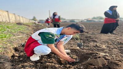 کاشت ۹۲۴ اصله نهال به مناسبت سالروز تاسیس سازمان جوانان در گلستان