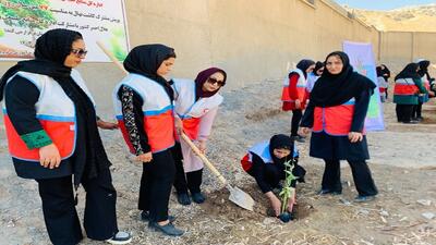 پویش کاشت نهال در سیستان و بلوچستان برگزار شد