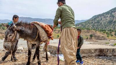 عشایر قوچان کوچ پاییزه خود را به سمت استان گلستان آغاز کردند