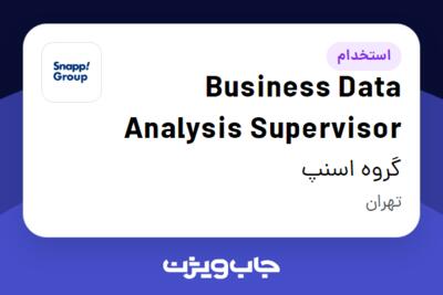 استخدام Business Data Analysis Supervisor در گروه اسنپ