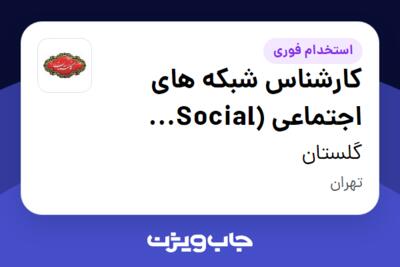 استخدام کارشناس شبکه های اجتماعی (Social Media) در گلستان