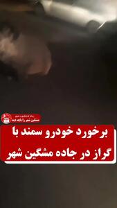 تصادف سمند با گراز در جاده مشکین‌شهر؛ وقوع حادثه و خسارت به خودرو