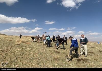 احیای 100 هکتار از مراتع شهرستان بویراحمد+تصاویر - تسنیم