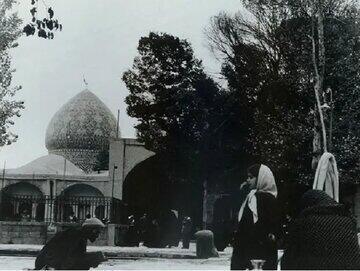 عکس/ مزار برادر مبارز معروف گیلان در تجریش تهران | اقتصاد24