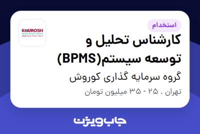 استخدام کارشناس تحلیل و توسعه سیستم(BPMS) در گروه سرمایه گذاری کوروش