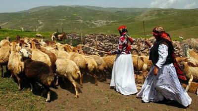 آغوشِ باز گلستان برای عشایر زمستان‌گذران