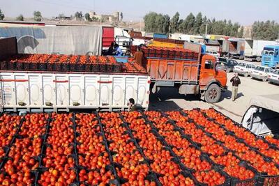 عراق بازهم گوجه فرنگی ایران را پس فرستاد؟