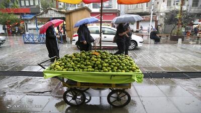 بارش باران از عصر فردا در گیلان