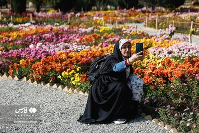 تصاویر زیبای جشنوارۀ گل‌های داوودی در تهران