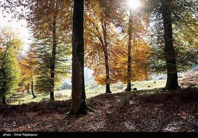 طبیعت زیبای پاییزی اشکور گیلان