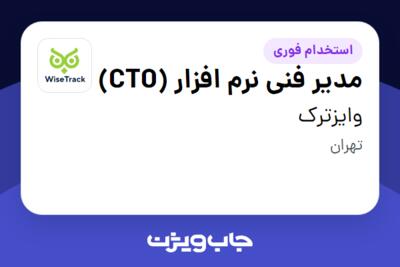 استخدام مدیر فنی نرم افزار (CTO) در وایزترک