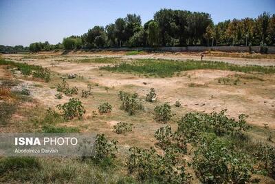 بستر زاینده‌رود پاکسازی می‌شود - پایگاه خبری مدارا