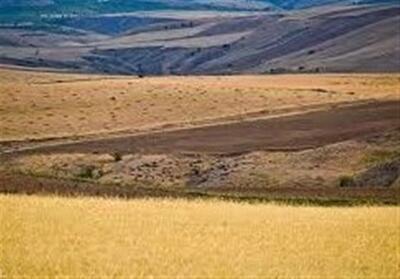 مشارکت 35 هزار کشاورز اردبیلی در جهش تولید دیمزارها - تسنیم