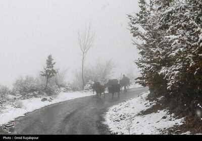 پیش‌بینی رگبار برف در گردنه‌های جنوب‌شرق لرستان - تسنیم