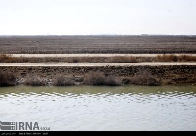 ۵.۲ میلیارد مترمکعب آب برای کشت پاییزه خوزستان نیاز است