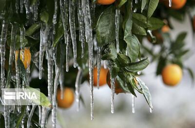 آذربایجان‌غربی سردتر می‌شود