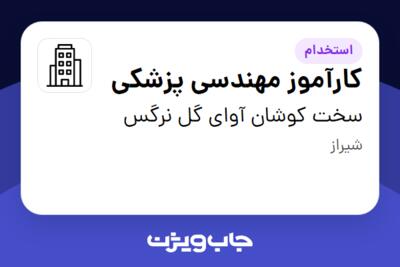 استخدام کارآموز مهندسی پزشکی - خانم در سخت کوشان آوای گل نرگس