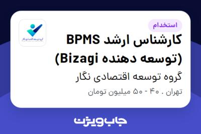 استخدام کارشناس ارشد BPMS (توسعه دهنده Bizagi) در گروه توسعه اقتصادی نگار