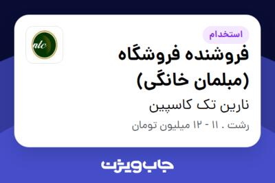 استخدام فروشنده فروشگاه (مبلمان خانگی) در نارین تک کاسپین