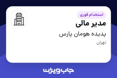 استخدام مدیر مالی در پدیده هومان پارس